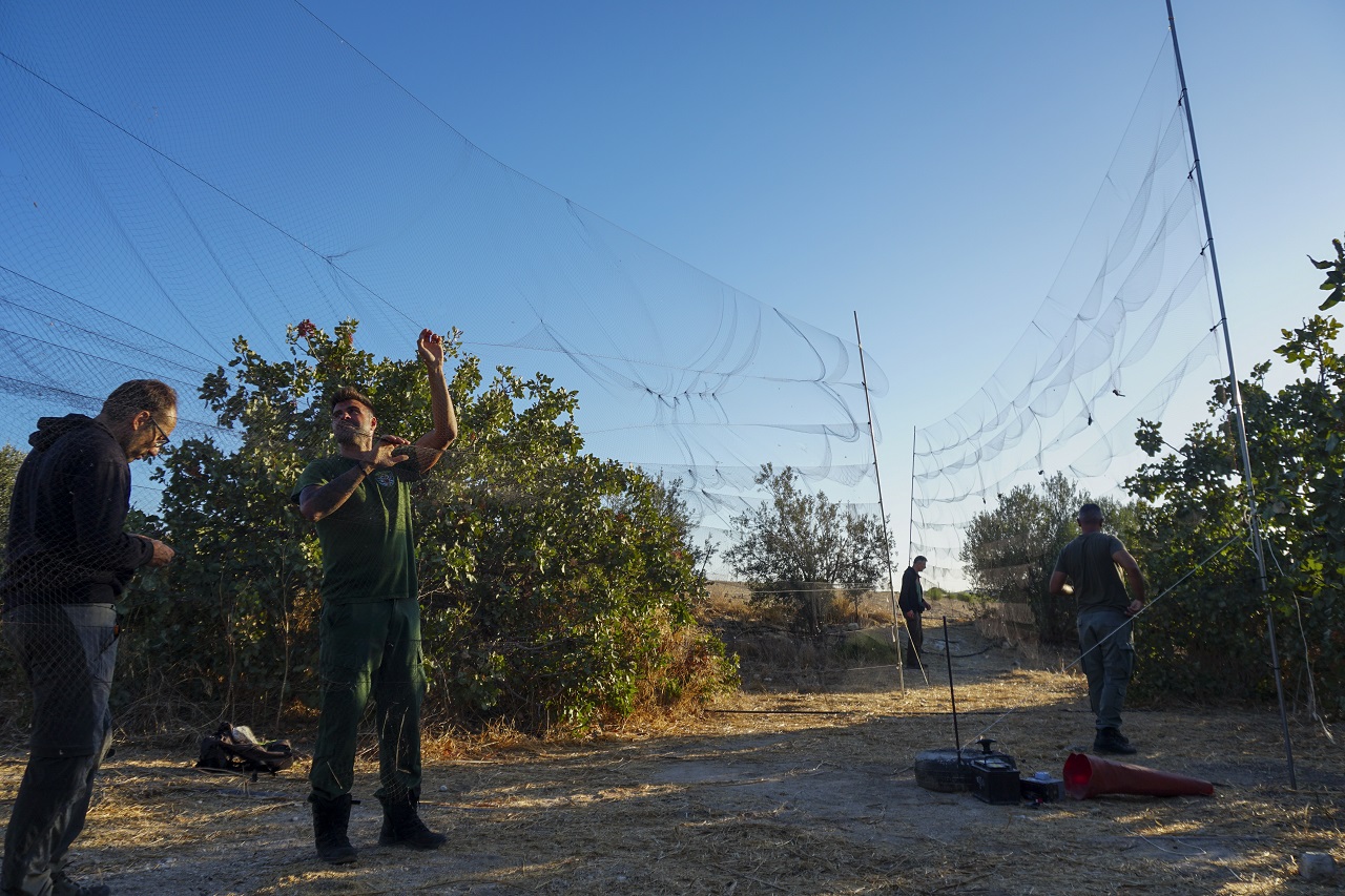 Republic of Cyprus: Report # 2 from the Autumn Bird Protection - Bild 3